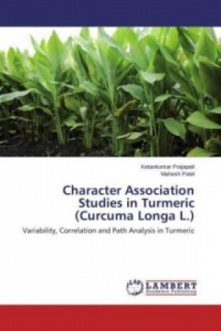 Książka Character Association Studies in Turmeric (Curcuma Longa L.) Ketankumar Prajapati