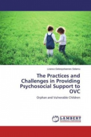 Kniha The Practices and Challenges in Providing Psychosocial Support to OVC Liranso Gebreyohannes Selamu