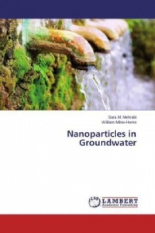 Carte Nanoparticles in Groundwater Sara M. Mehrabi