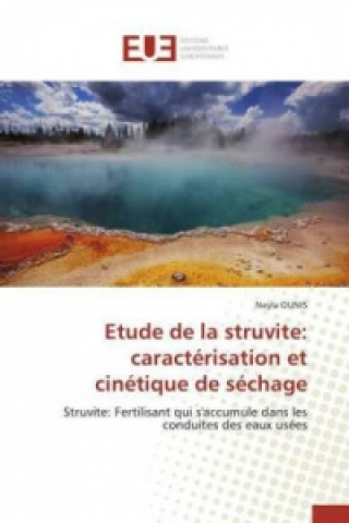 Kniha Étude de la struvité: caractérisation et cinétique de séchage Neyla Ounis