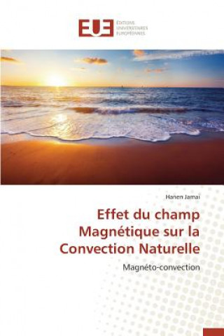 Knjiga Effet Du Champ Magn tique Sur La Convection Naturelle Jamai-H