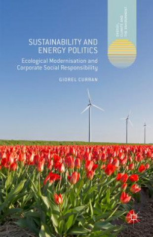 Книга Sustainability and Energy Politics Giorel Curran