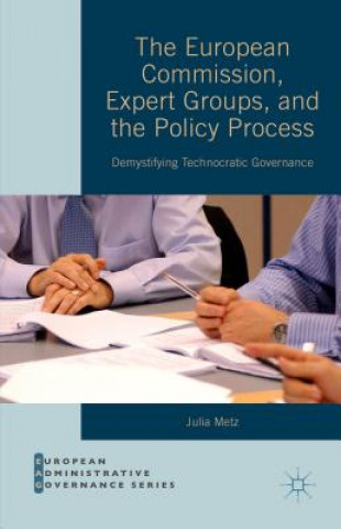 Carte European Commission, Expert Groups, and the Policy Process Julia Metz