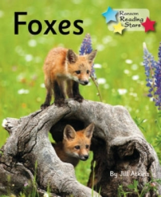 Könyv Foxes Jill Atkins