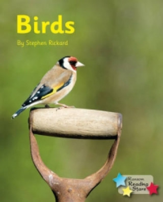 Book Birds Stephen Rickard