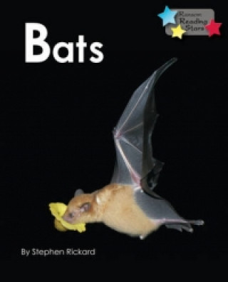 Kniha Bats Stephen Rickard