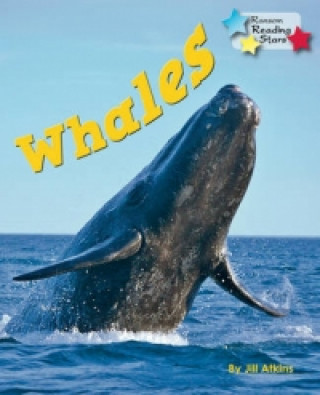 Livre Whales Jill Atkins