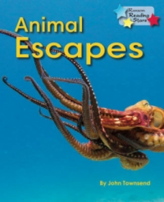 Kniha Animal Escapes John Townsend