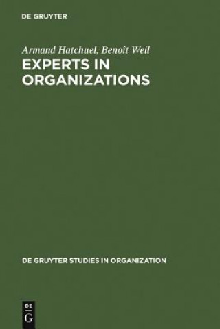 Kniha Experts in Organizations Armand Hatchuel