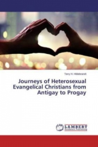 Kniha Journeys of Heterosexual Evangelical Christians from Antigay to Progay Terry H. Hildebrandt