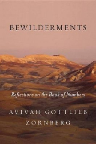 Kniha Bewilderments Avivah Gottlieb Zornberg