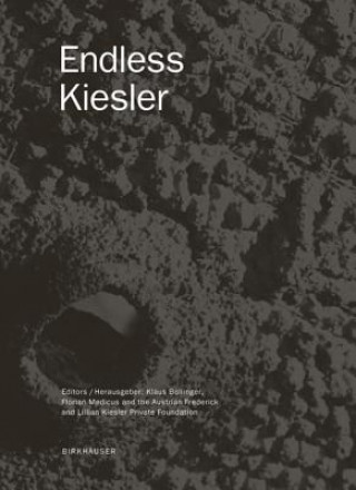 Kniha Endless Kiesler Klaus Bollinger