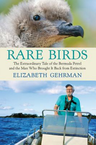 Carte Rare Birds Elizabeth Gehrman