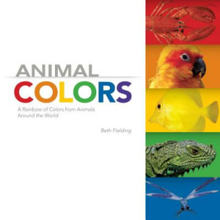 Carte Animal Colors Beth Fielding