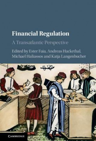 Kniha Financial Regulation Ester Faia