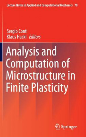 Könyv Analysis and Computation of Microstructure in Finite Plasticity Klaus Hackl