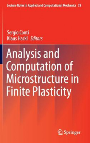 Książka Analysis and Computation of Microstructure in Finite Plasticity Klaus Hackl