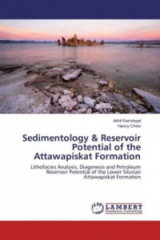 Kniha Sedimentology & Reservoir Potential of the Attawapiskat Formation Akhil Ramdoyal