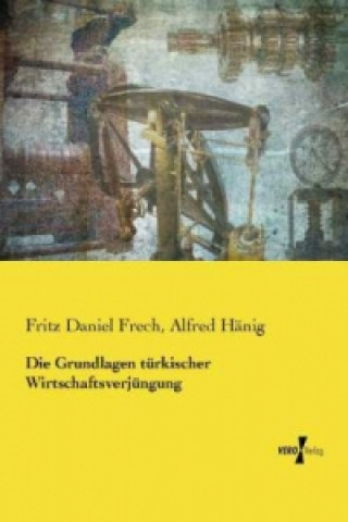 Βιβλίο Die Grundlagen türkischer Wirtschaftsverjüngung Fritz Daniel Frech