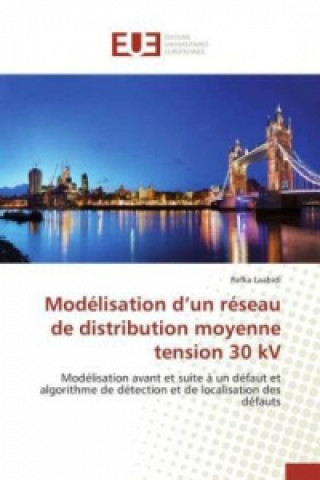 Buch Modélisation d'un réseau de distribution moyenne tension 30 kV Refka Laabidi