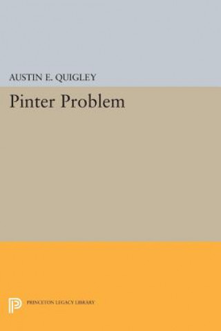 Könyv Pinter Problem Austin E. Quigley