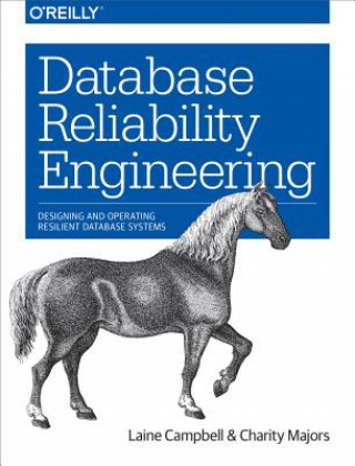 Kniha Database Reliability Engineering Laine Campbell