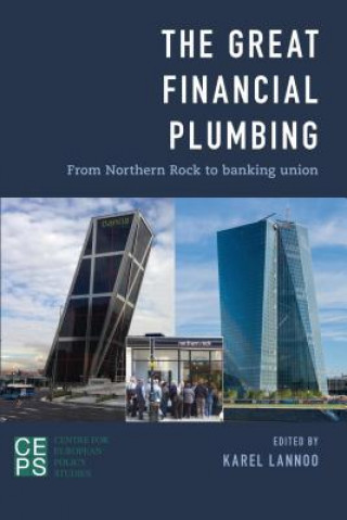 Kniha Great Financial Plumbing Karel Lannoo