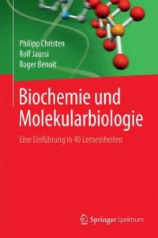 Könyv Biochemie und Molekularbiologie Philipp Christen
