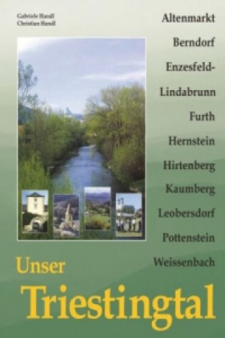 Könyv Unser Triestingtal. Bd.1 Gabriele Handl