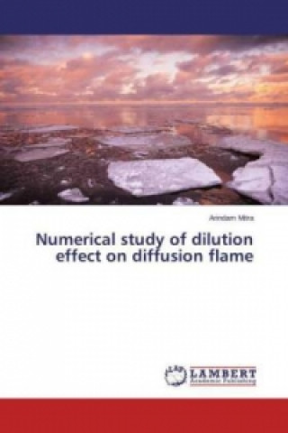 Carte Numerical study of dilution effect on diffusion flame Arindam Mitra