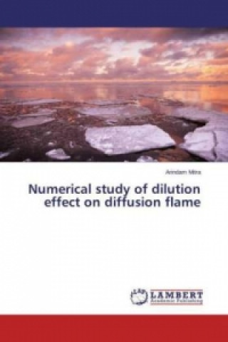 Kniha Numerical study of dilution effect on diffusion flame Arindam Mitra