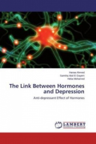 Knjiga The Link Between Hormones and Depression Hanaa Ahmed