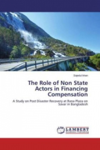 Carte The Role of Non State Actors in Financing Compensation Sajedul Khan