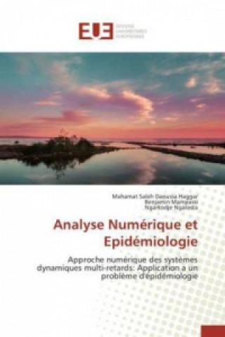 Könyv Analyse Numérique et Epidémiologie Mahamat Saleh Daoussa Haggar
