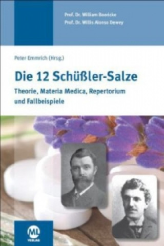 Книга Die 12 Schüssler-Salze William Boericke
