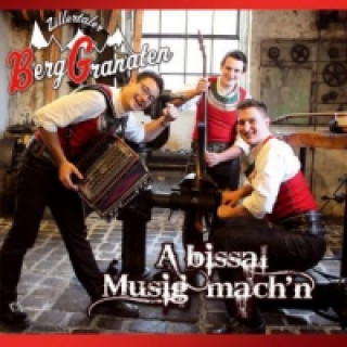 Audio A bissal Musig mach'n, 1 Audio-CD Zillertaler Berggranaten