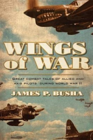 Book Wings of War James P Busha