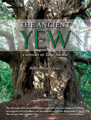 Carte Ancient Yew Robert Bevan-Jones