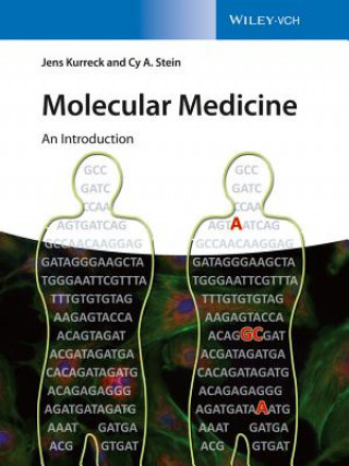 Könyv Molecular Medicine - An Introduction Jens Kurreck