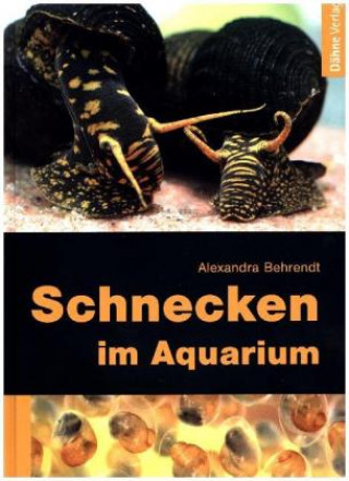 Carte Schnecken im Aquarium Alexandra Behrendt