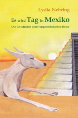 Könyv Es wird Tag in Mexiko Lydia Nehring