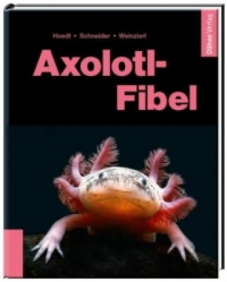 Kniha Axolotl-Fibel Werner Hoedt
