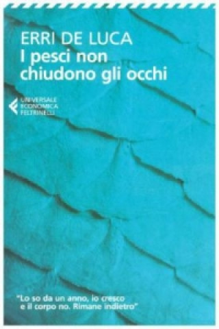 Kniha I pesci non chiudono gli occhi - Paperback edition Erri De Luca