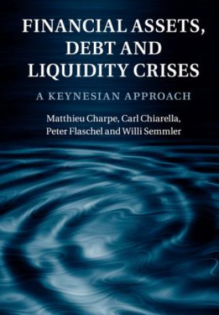 Книга Financial Assets, Debt and Liquidity Crises Matthieu Charpe