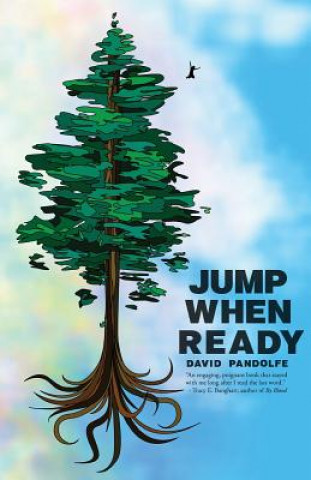 Book Jump When Ready David Pandolfe