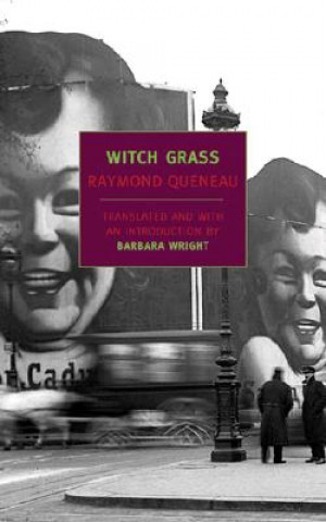 Kniha Witch Grass Raymond Queneau