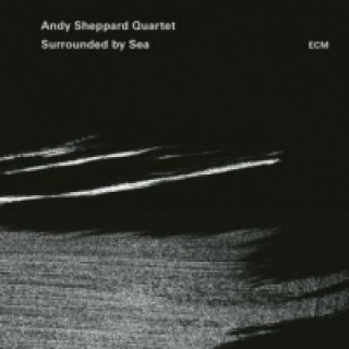 Audio Surrounded by Sea, 1 Audio-CD Andy Quartet Sheppard