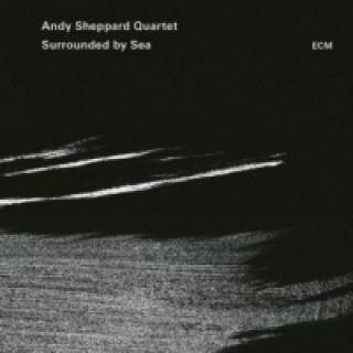 Аудио Surrounded by Sea, 1 Audio-CD Andy Quartet Sheppard