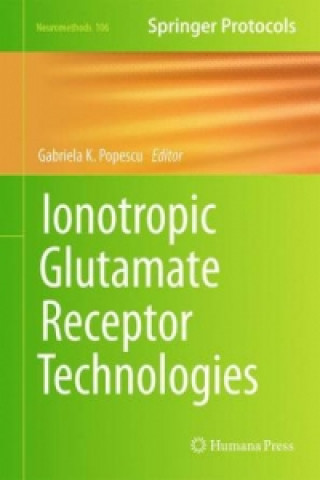 Könyv Ionotropic Glutamate Receptor Technologies Gabriela K. Popescu