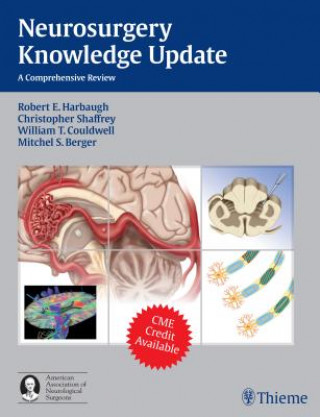 Knjiga Neurosurgery Knowledge Update 